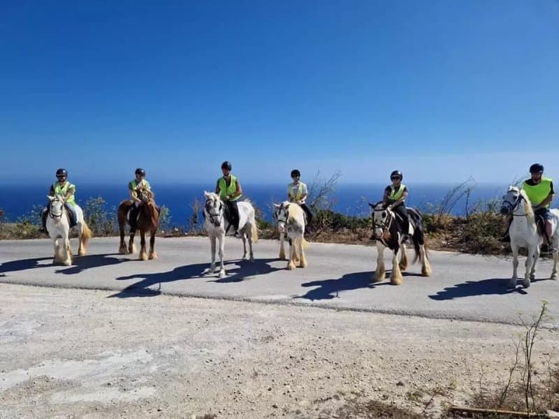 Gozo Stables Horse-Riding