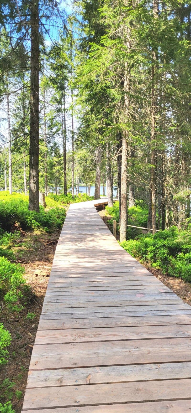 Etang de la Gruère
