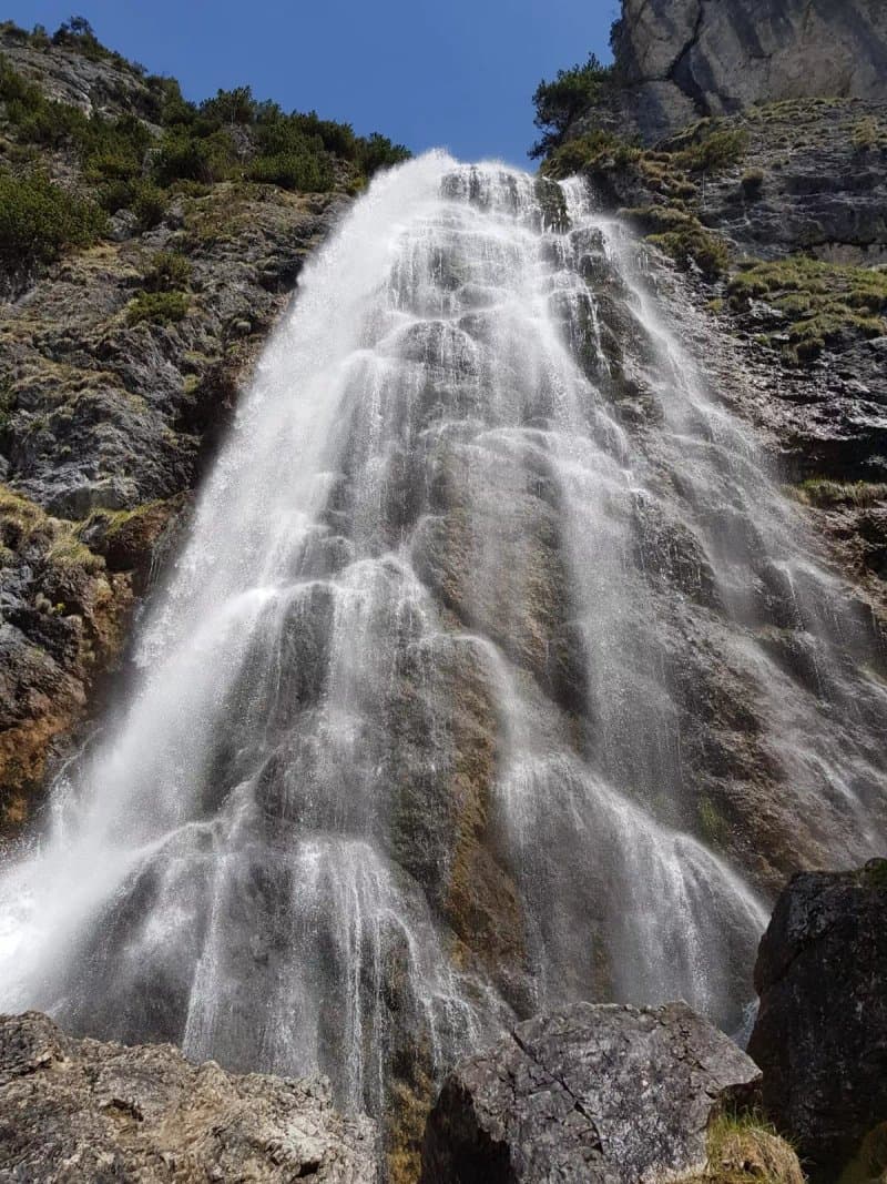 Dalfaz Alm