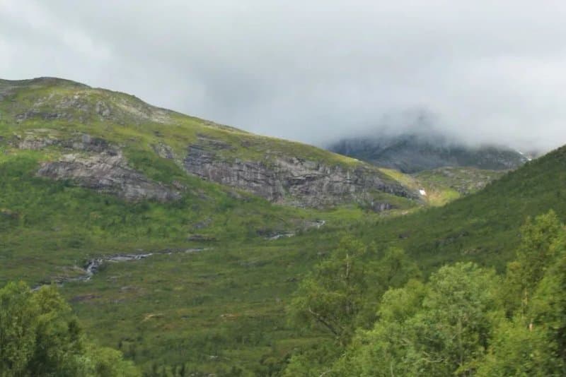 Skarelva