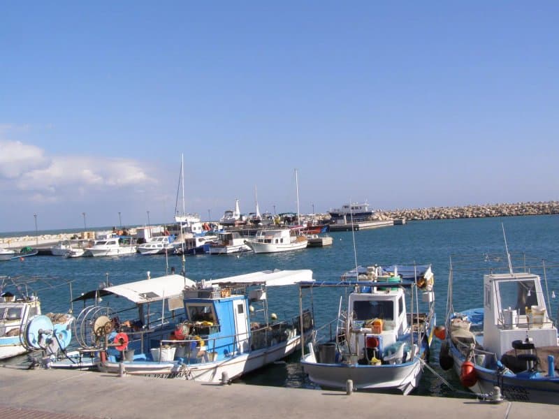 Zygi Marina
