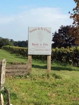 Domaine Viticole du Chenoy