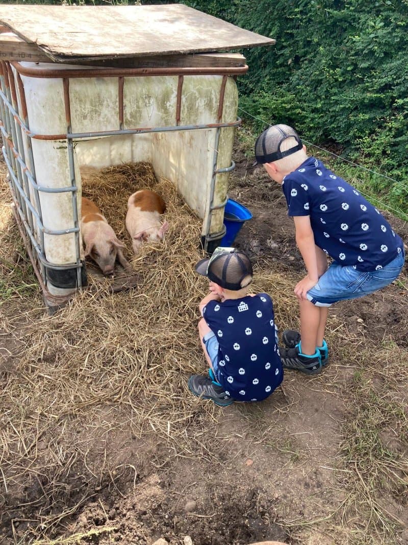 Hveddegaard Farm Holiday