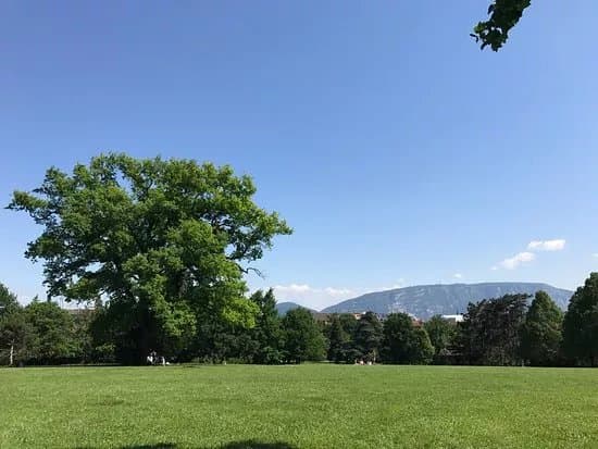 Parc Trembley