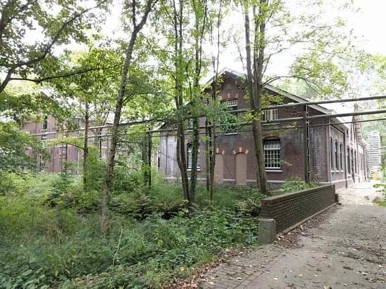 Hembrugterrein