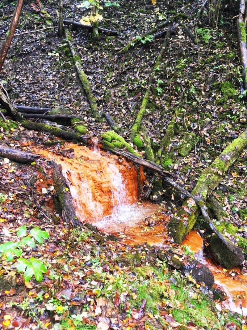 David's Mill Waterfall
