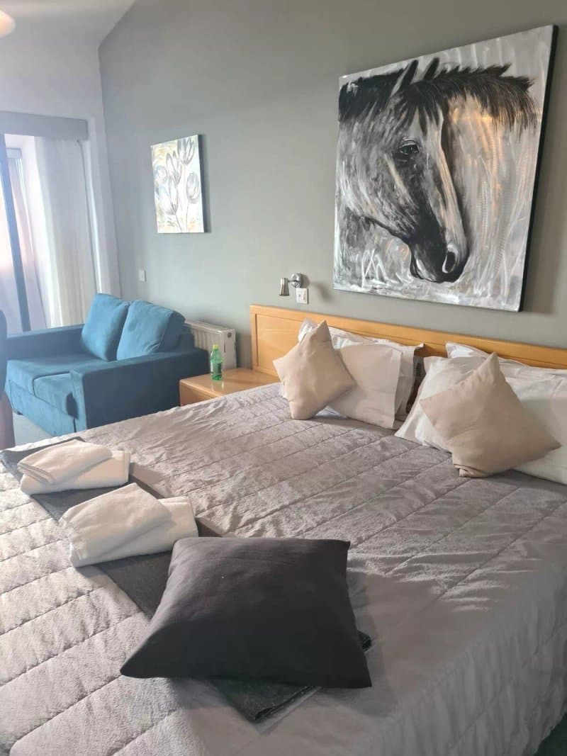 Troodos Hotel