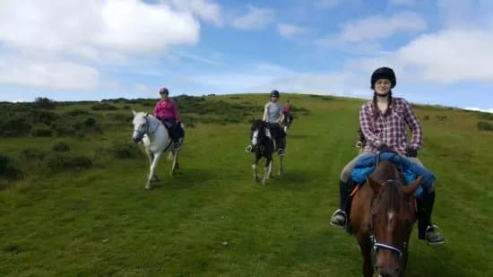Freerein Riding Holidays