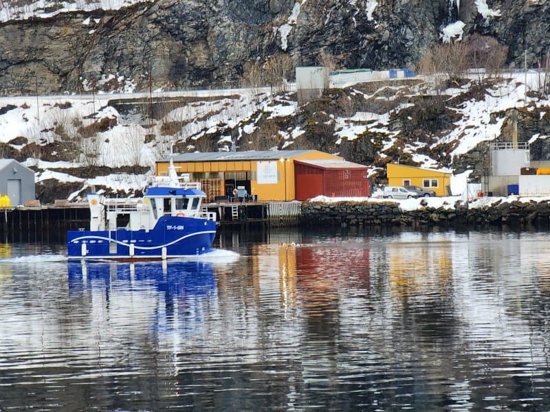 Lofoten Tours