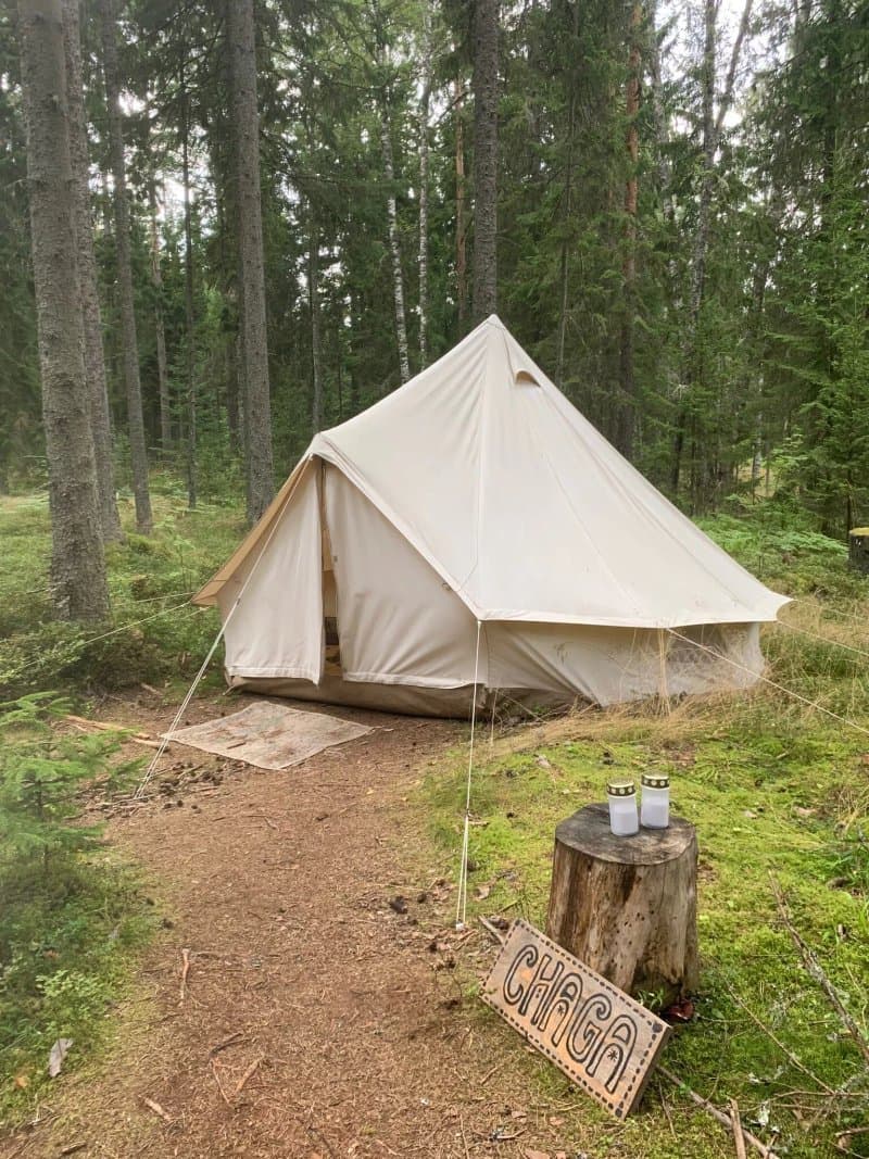 Projekt-Kodu Retreat & Eco-Hostel