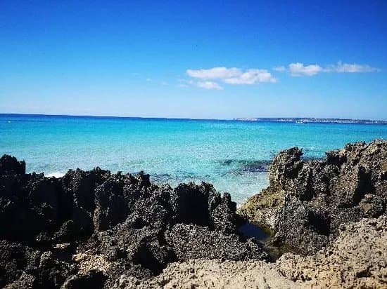 Platja Es Arenals