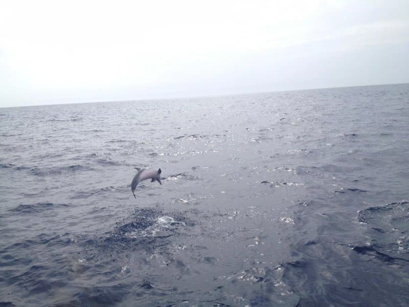 Spirit Of The Sea