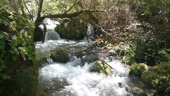 Sendero Rio Majaceite