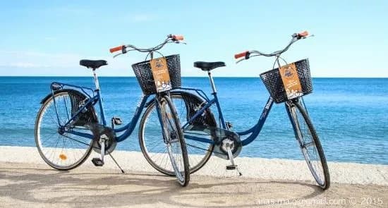 Blue Bike Rental & Tours