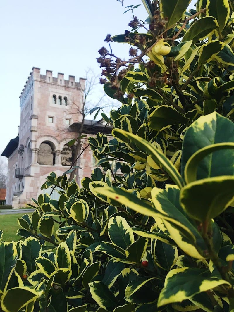 Castillo Del Bosque La Zoreda