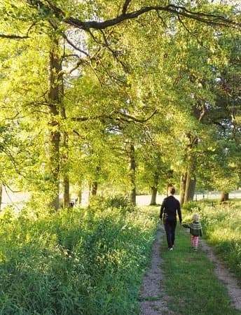 Hofsnas nature trails
