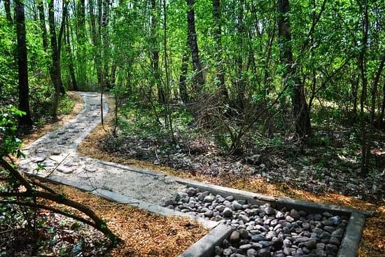 Eco Barefoot Park