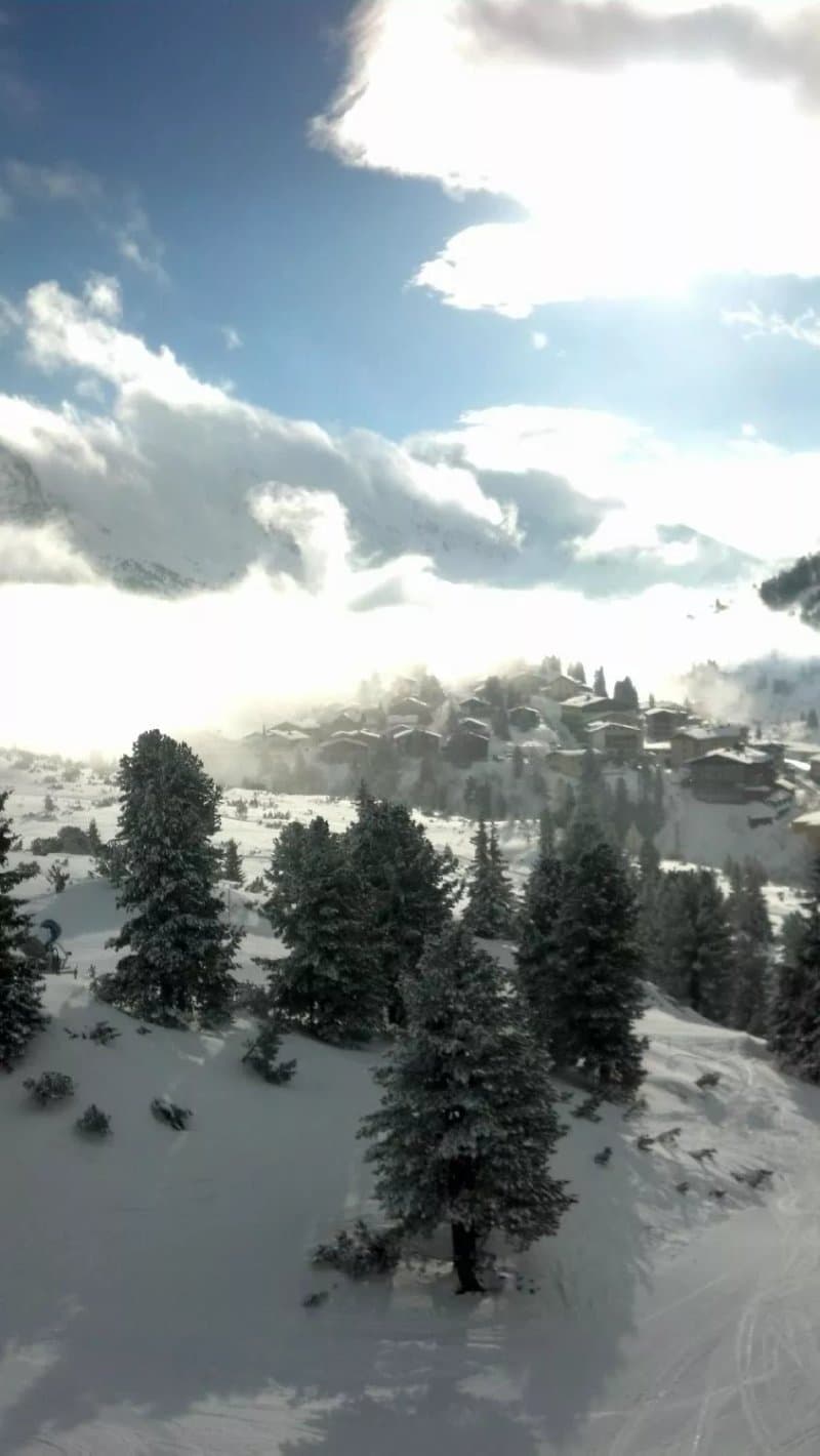 Chalet Gove