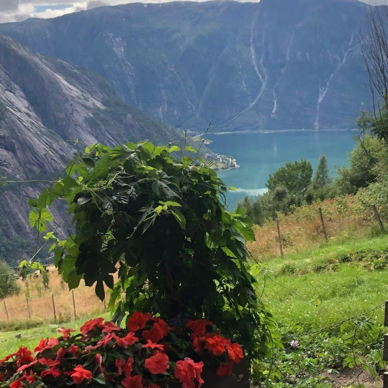 Kjeasen Mountain Farm