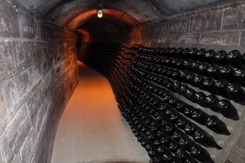 Champagne Borel Lucas