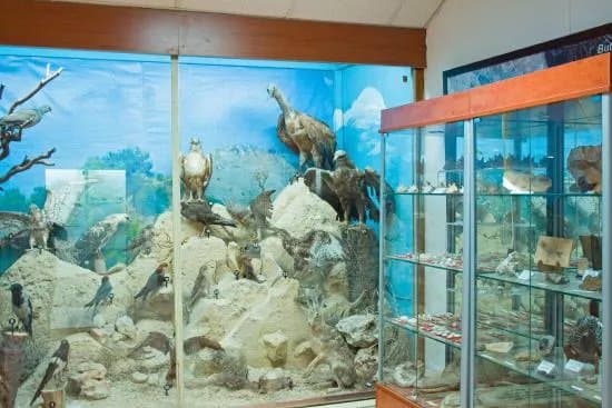 Municipal Museum of Natural History