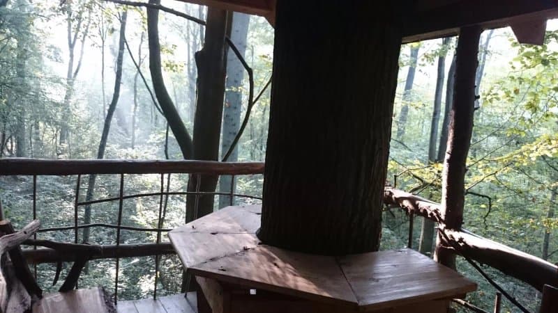 Cabane Nature
