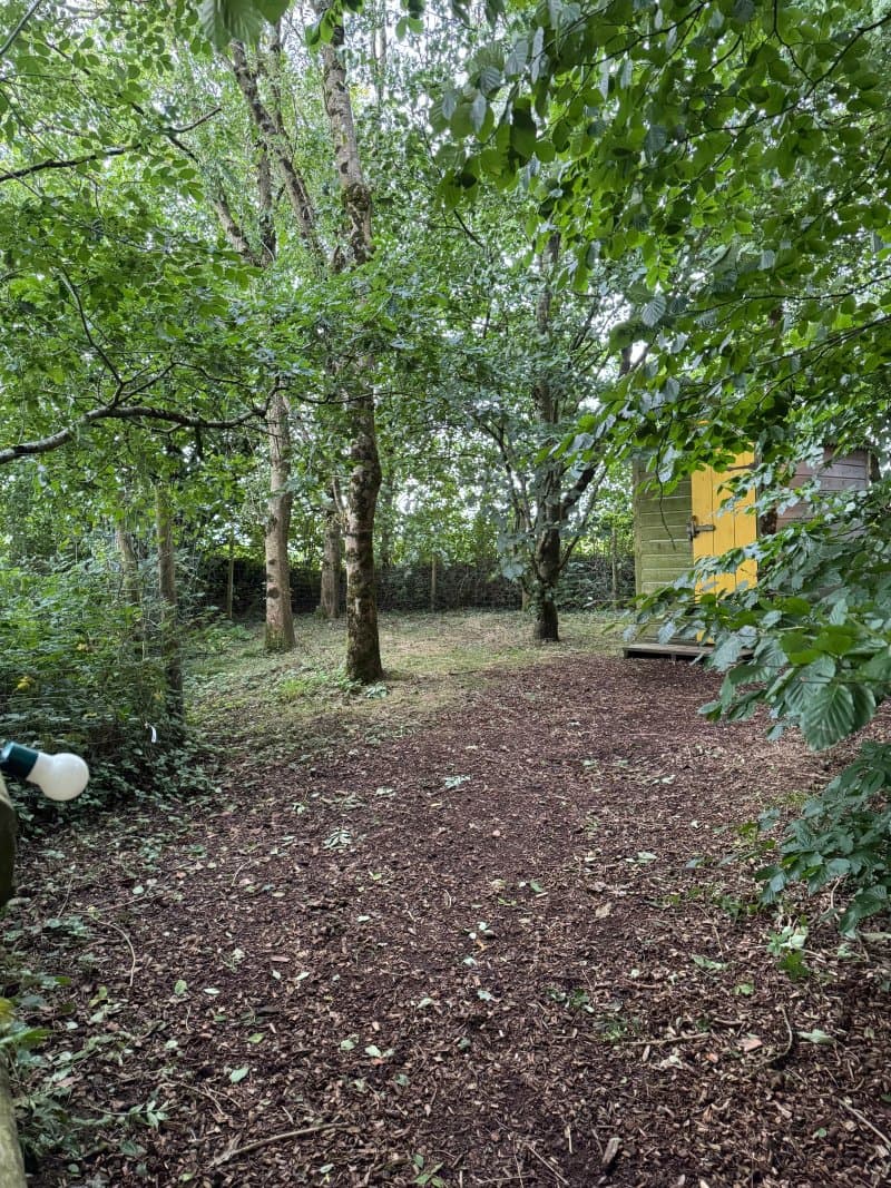 Bales Ash Campsite