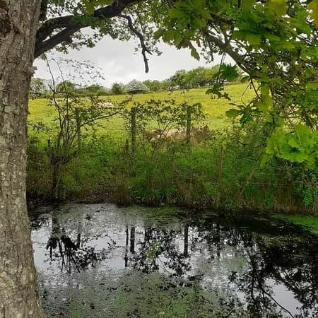 Marais Tougas