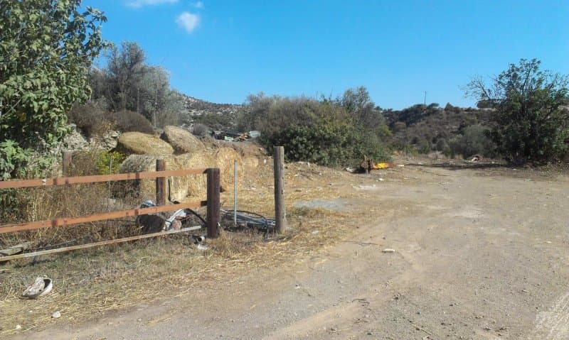 Dipotamos Donkey Farm