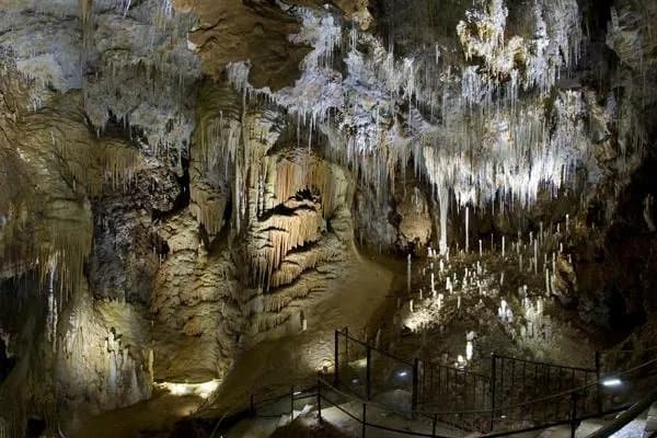 Grotte de Clamouse