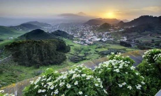 Tenerife Host