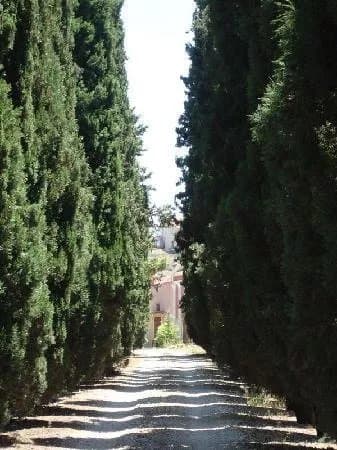 B&b Poggio Tafuri