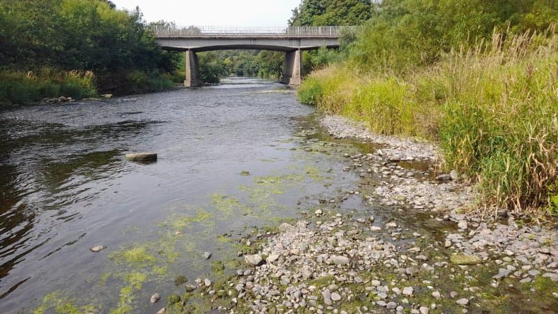 Ayr Gorge Walk