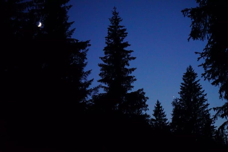 Natur Camping Langenwald