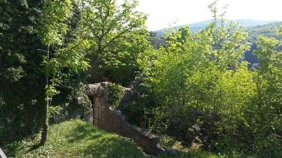 Ruine Rauheneck