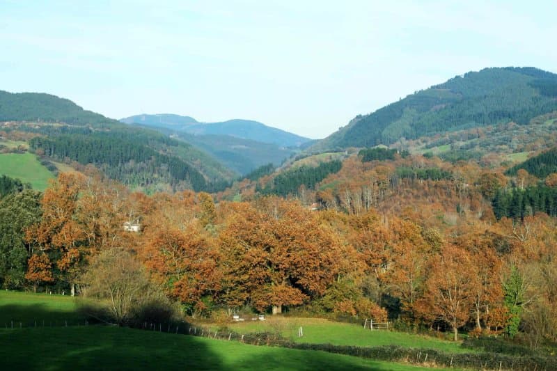 Casa Rural Kolitza