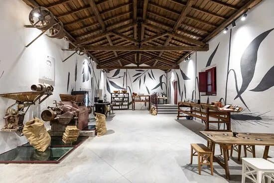 Museo Molino Garau - Agrobass - Sardinian Farm