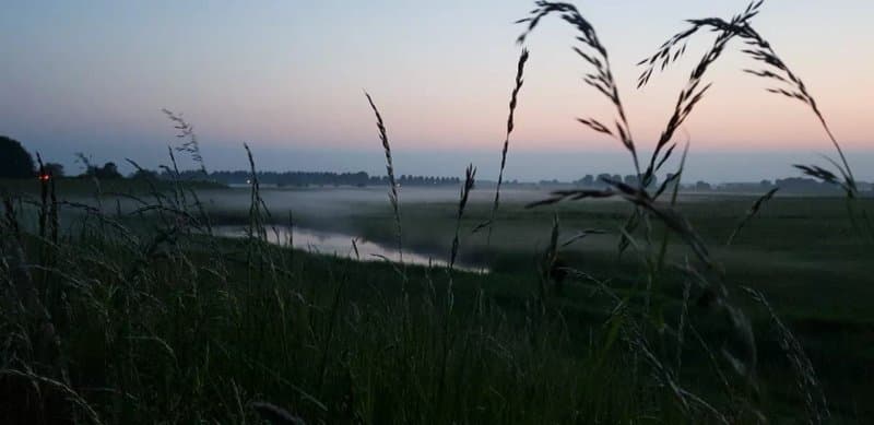 Mini Camping Het Wielseveld