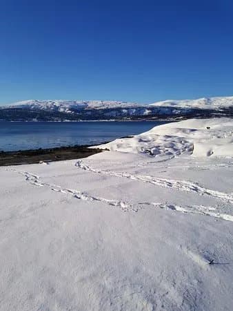 Hauknesstranda