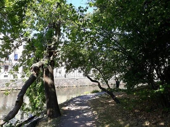 Kungsparken
