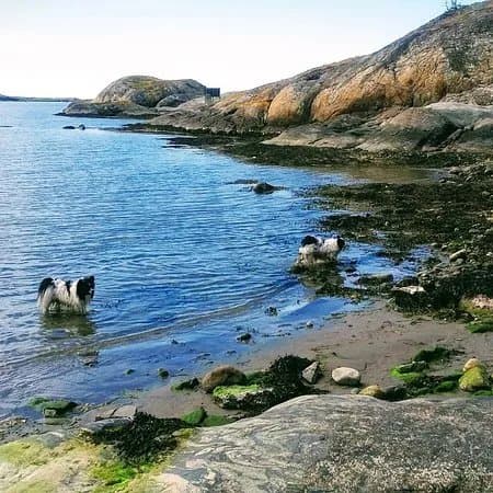 Roro naturreservat