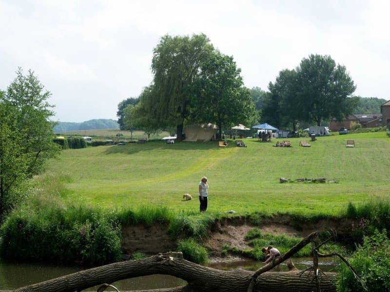 't Zinkviooltje