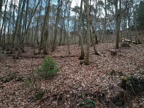 Quellheiligtum Heidenfelsen