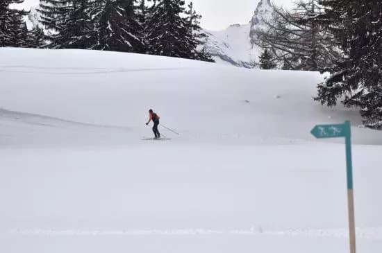 Ski de fond / Cross Country