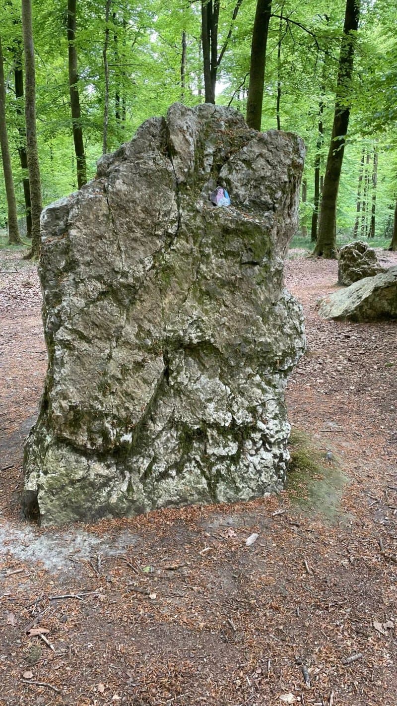 Cordon Des Druides