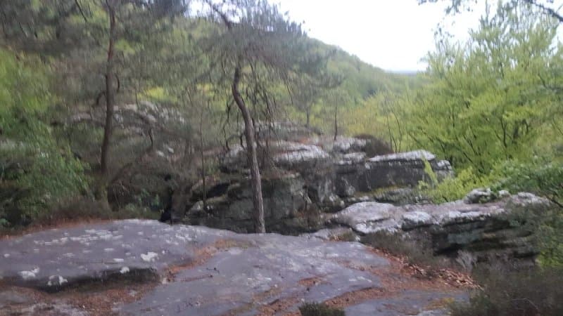 Camping Martbusch