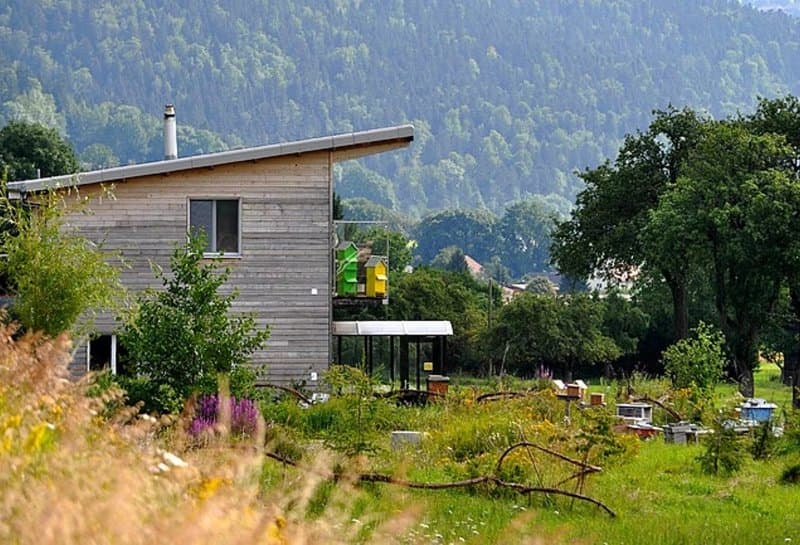 Espace Abeilles
