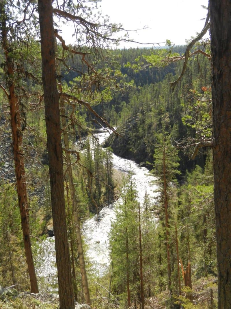 Muddus National Park
