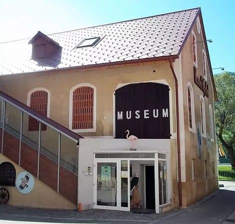 Vanni's Vogelwelt