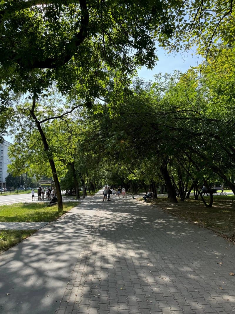 Park Szwedzki